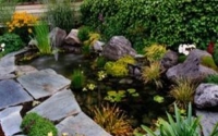 picture2_0
