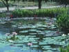 pond3