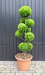 picture9